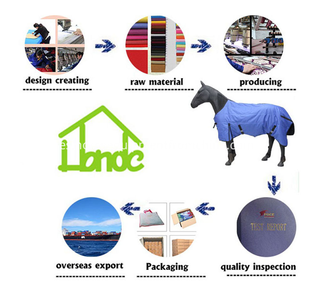 proceso process